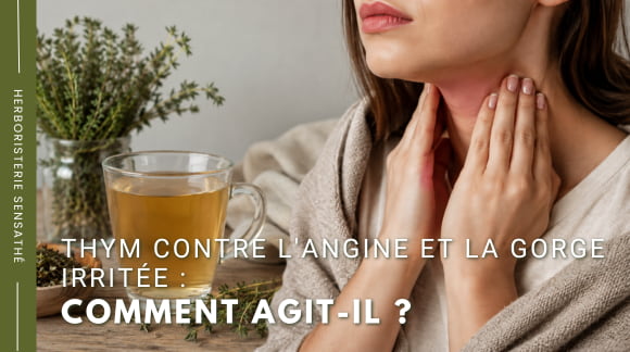 Thym contre l'angine et la gorge irritée  comment agit-il - Herboristerie Sensathé
